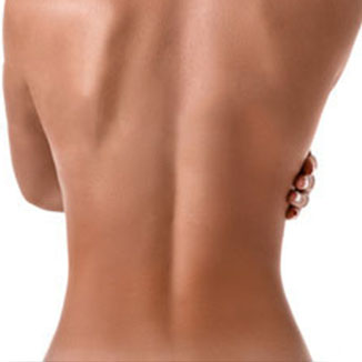 Stomach (back)